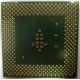 Процессор Intel Celeron 1000A SL5ZF (1000MHz /256kb /100MHz /1.475 V) s370 (Череповец)