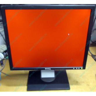 Dell E197F P в Череповце, монитор 19" TFT Dell E197FPb (Череповец)