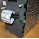 HP 365664-001 кабель SCSI для корзины 373108-001 / 359719-001 HP ML370G4 (Череповец)