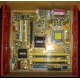 Материнская плата Asus P5L-VM 1394 s.775 (Череповец)